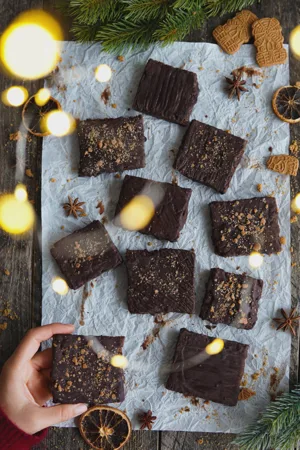 Protein Gingerbread Bars