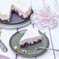 Himbeer-Kokos-Torte, no-bake
