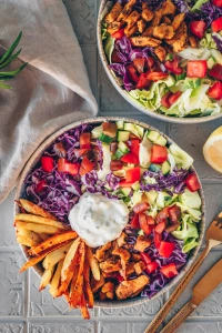 Gyros Bowl